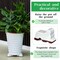 6-Pack Resin Garden Pot Feet – 3" Long x 1.5" Tall Plant Risers for 14-20" Pots, Frost-Proof Flower Pot Elevators for Outdoor and Indoor Planters (White, Classic)